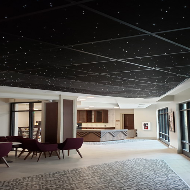 fiber optic star ceiling