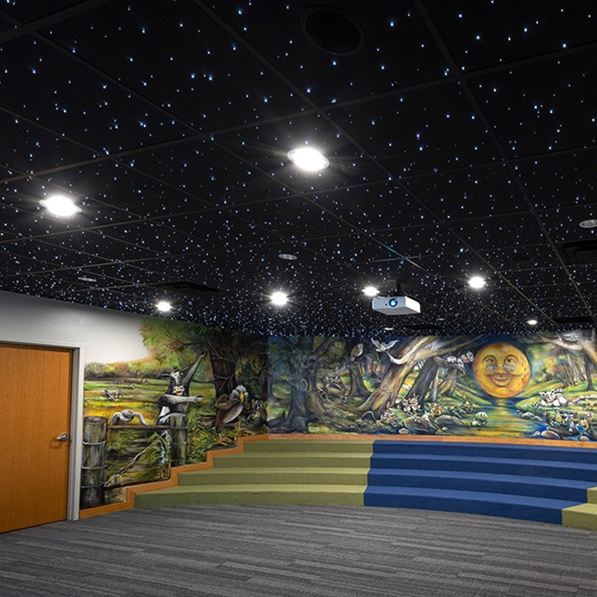 custom star ceiling logo